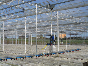 Chariot d'arrosage avec le tuyau tendu sous serre