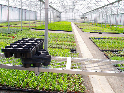 Manutention sur grille utilisant le rail du chariot d'arrosage