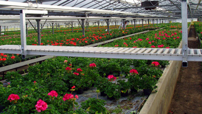 Manutention sur rouleau de convoyage utilisant le rail du chariot d'arrosage